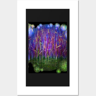 Many Coloured Reeds 2-Available As Art Prints-Mugs,Cases,Duvets,T Shirts,Stickers,etc Posters and Art